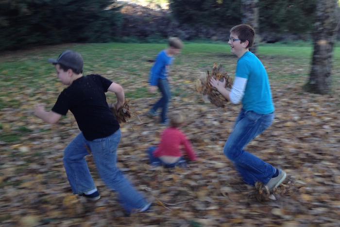 automne, feuilles, jeux, église, pentecôtiste, Châtellerault