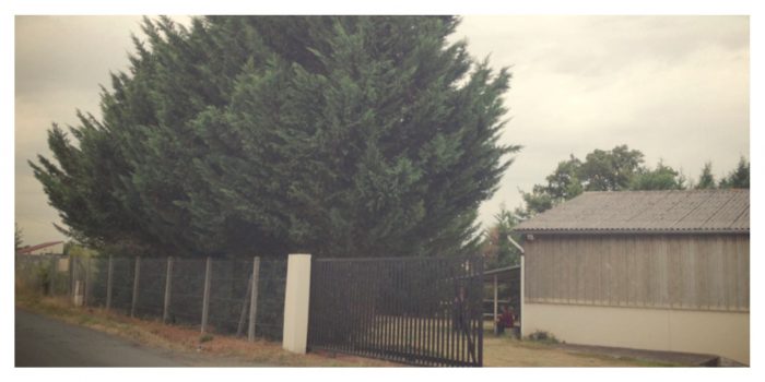 église, pentecôtiste, Châtellerault, haie